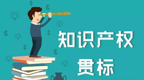崇川區知識產權貫標認證辦理全流程詳解